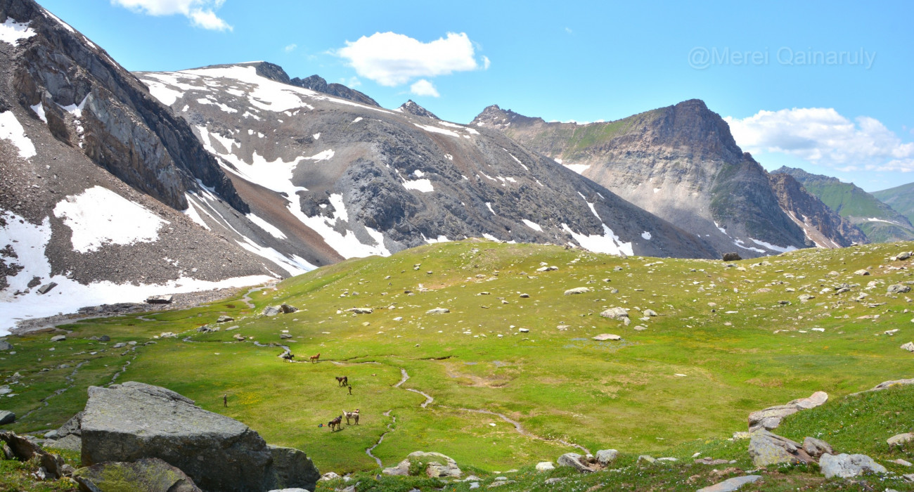 Бейне жұлдызы бар ақ шұлықтағы порно Бакудегі жыныстық қатынас