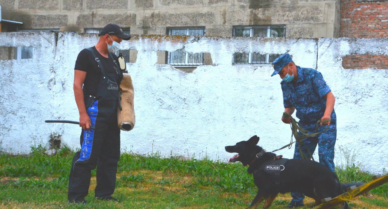 Видео секс 55-65 жас
