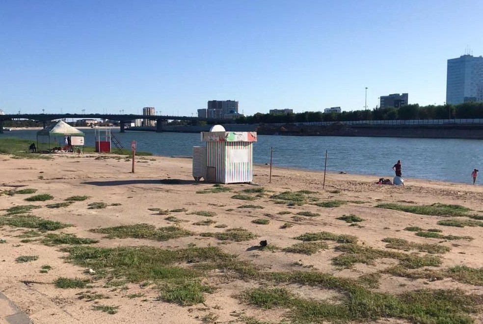 Анилингус пен шыбынның порно видеосы