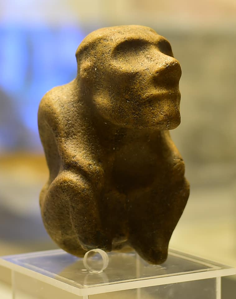 Балапан мөлдір орындықта отыр