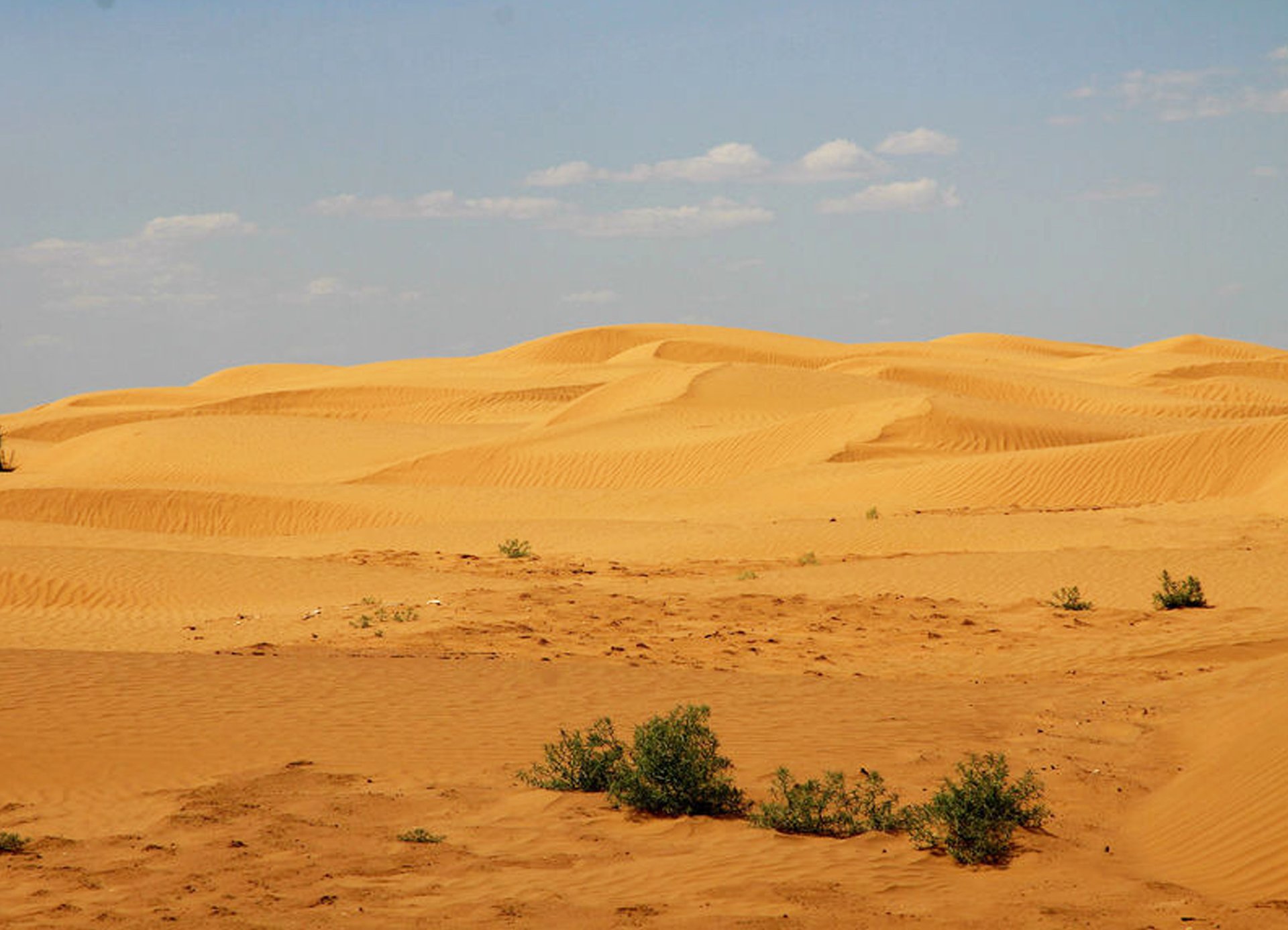 Қасиетті Нарын поэтикасы