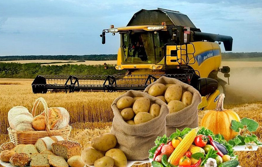 Агроөнеркәсіп кешені: Инвестиция әлеуеті