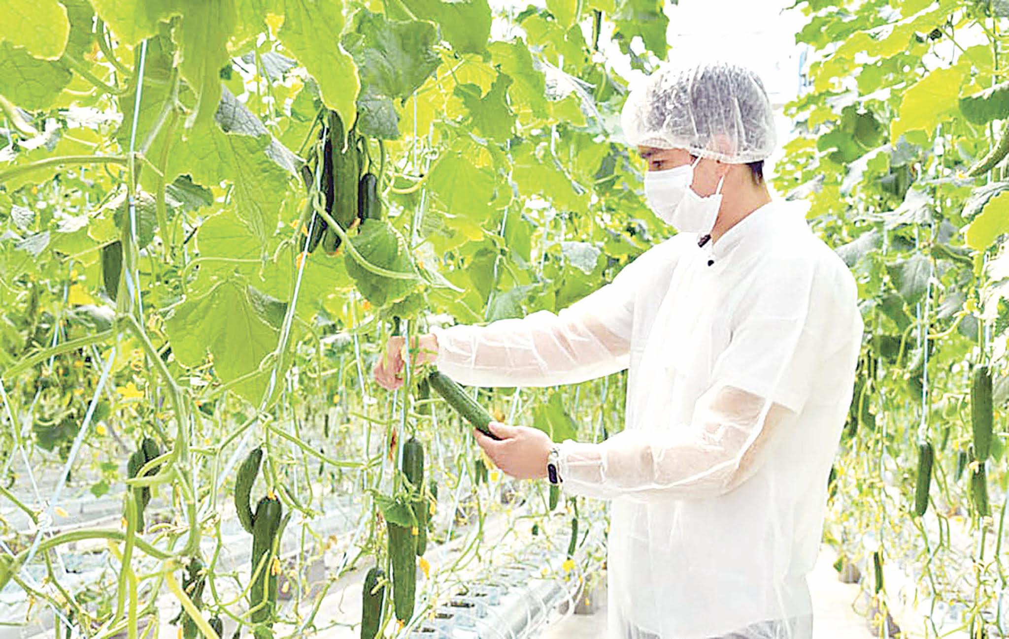 Қаланың қажеттілігі мегаполисті азық-түлікпен қамту маңызды міндет