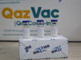 QazVac вакцинасын клиникалық зерттеу аяқталды