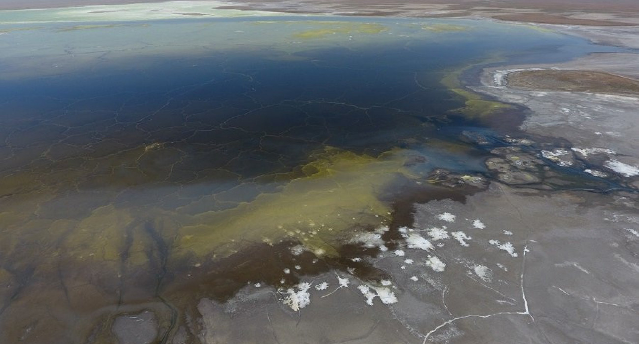 Жалаңаш әйелдердің үйдегі фотосуреттері