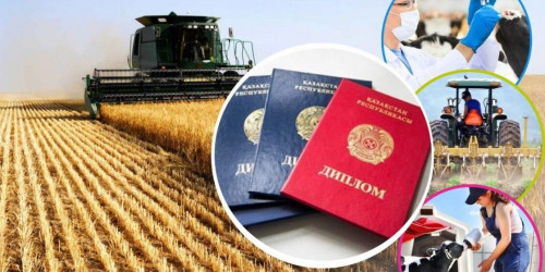 Жас мамандарды қолдау жалғасуда