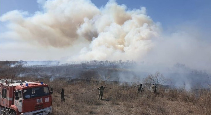 Бұл – «тілсіз жау» тағы бас көтеретін кез