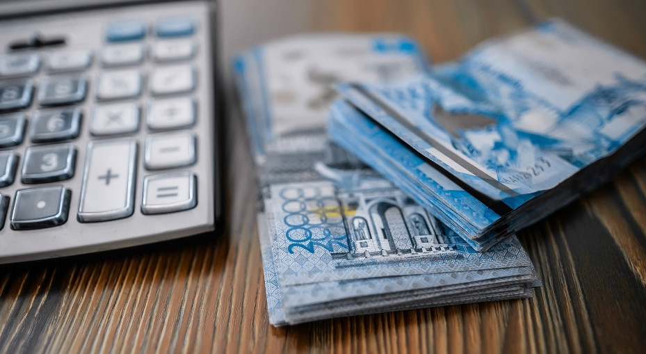 Салымшыларды біріктіретін портал