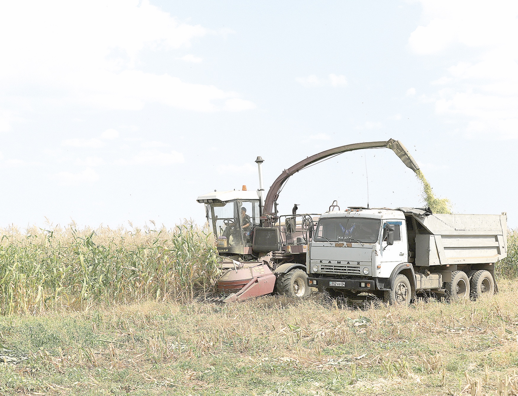 Ерінбеген кәсіпкер болады