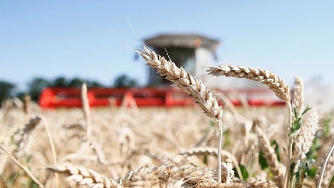 Агросектордың жартысынан көбін қаржыландырады