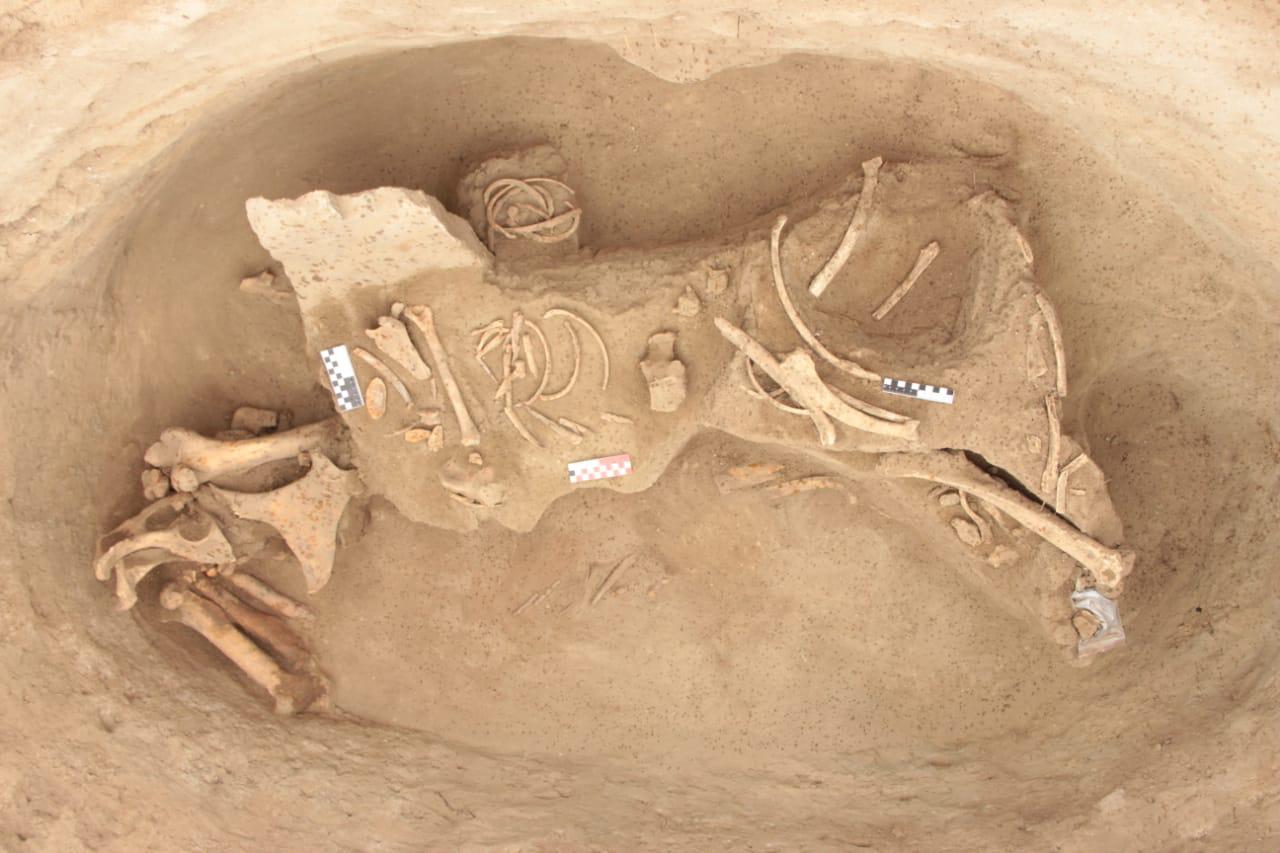 Аққайнар қойнауы –  асыл қазына