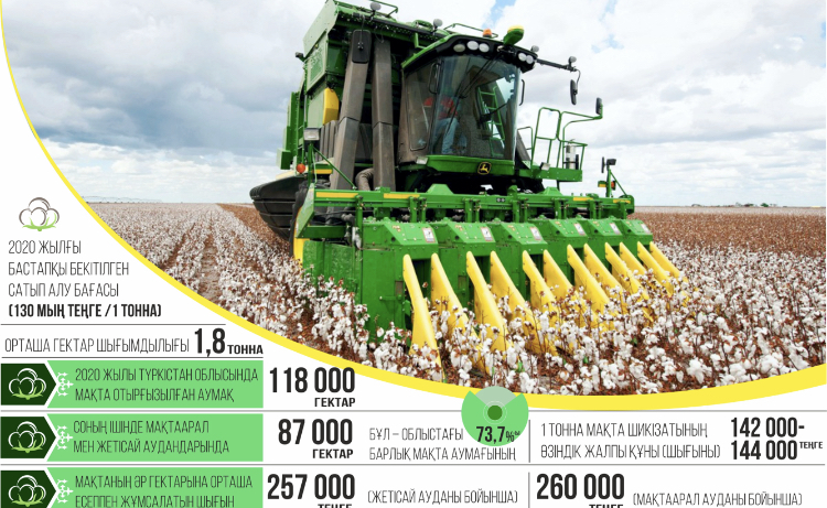 Маталған мақта өндірісі