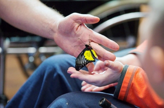 Әлеуметтік қолдау жақсарады