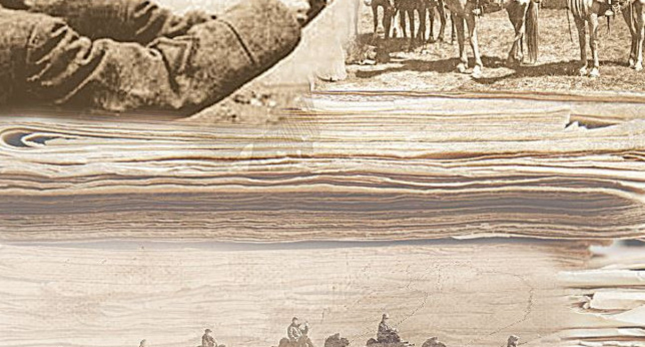 Мен кез келген адамды жыныстық қатынасқа шақырамын