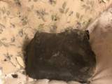 Канадалық азаматтың үйіне метеорит құлады