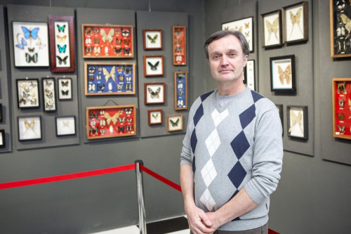 Көбелектер көрмесі