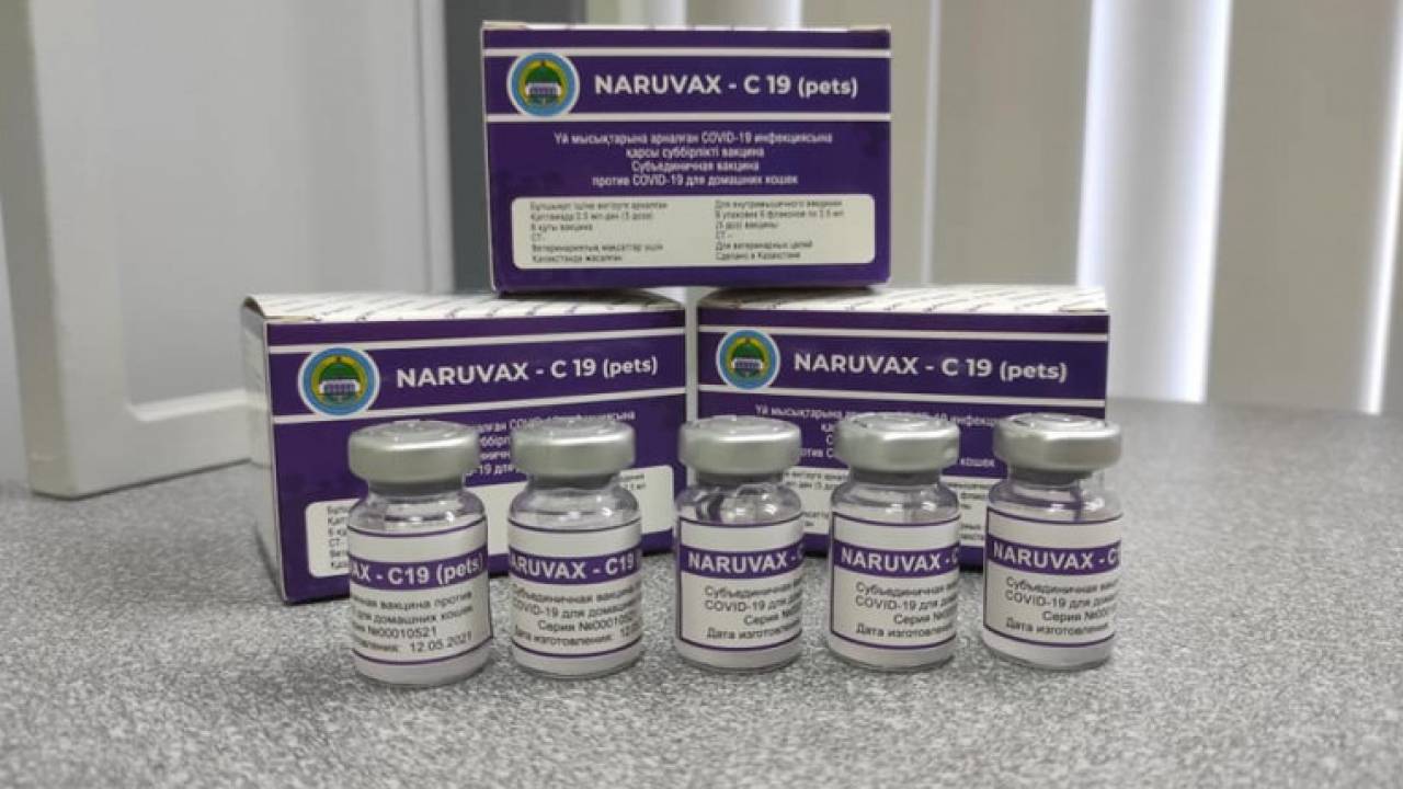 Қазақстан COVID-19-ға қарсы Naruvax-C19 вакцинасын әзірледі