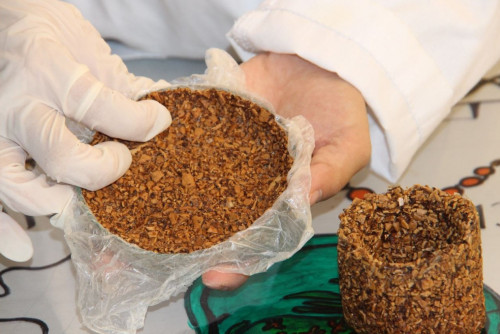 Жаңғақ қабығынан ыдыс жасап шығарды