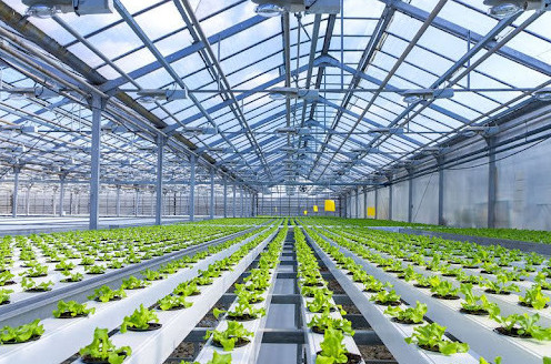 Жылыжай кешені іске қосылды