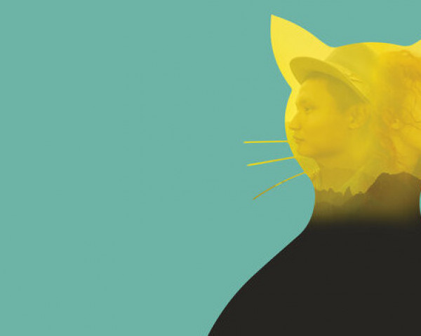 Игра желтая кошка. Кошка на желто золотом фоне. Жёлтая кошка 18. Желтая кошка из 2021 2020 года.