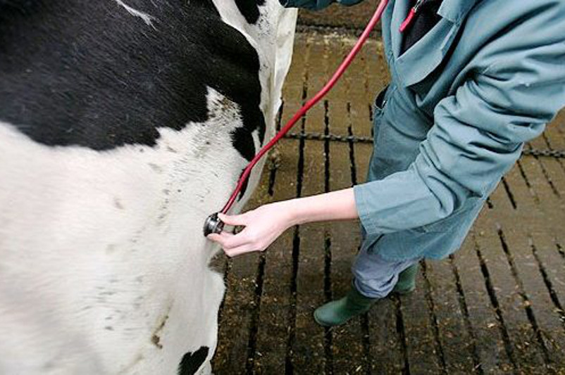 Ізденіс, жаңалық және нәтиже