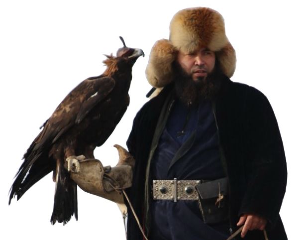 Қыран құстар сайысы