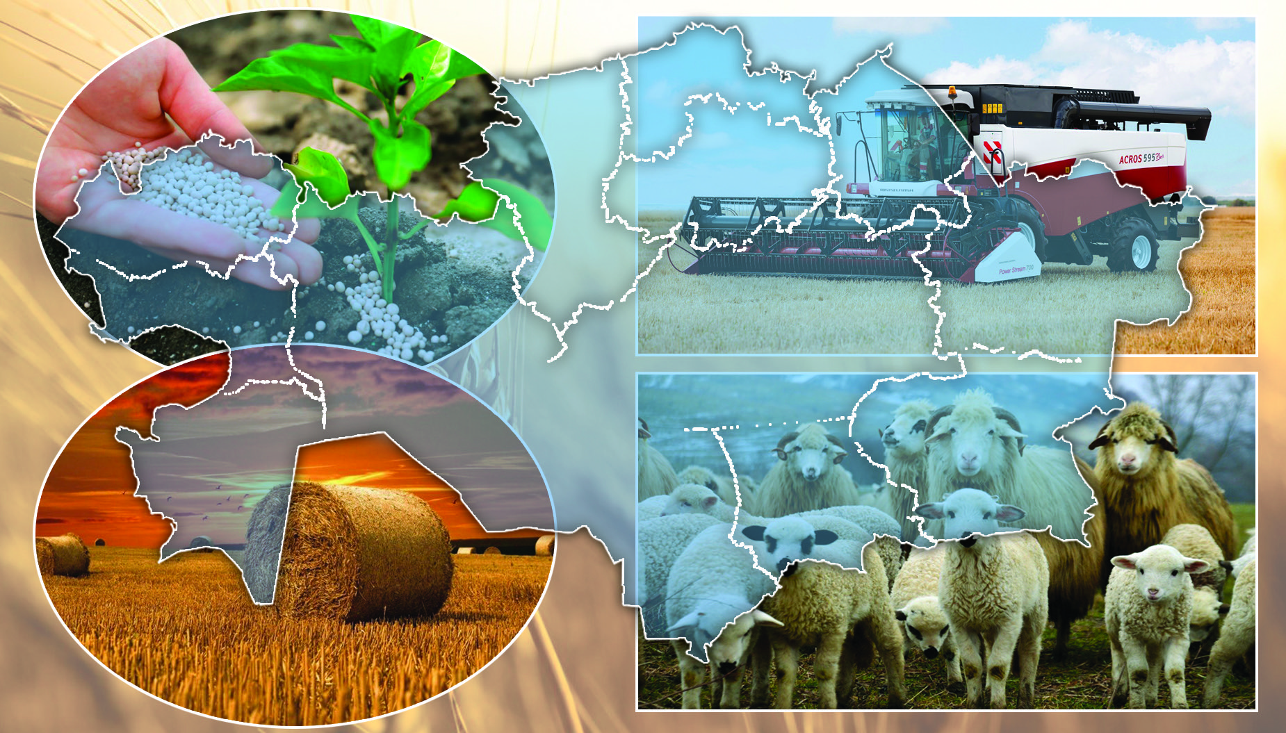 Шаруалар айтты базына...