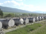 600 тоннадан астам дизель отыны заңсыз сатылған