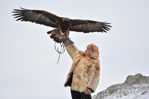 Қыран самғап, күй төгілді Бозанбайда...