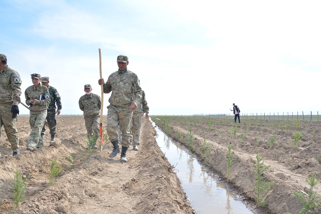 Орман қоры молайып келеді