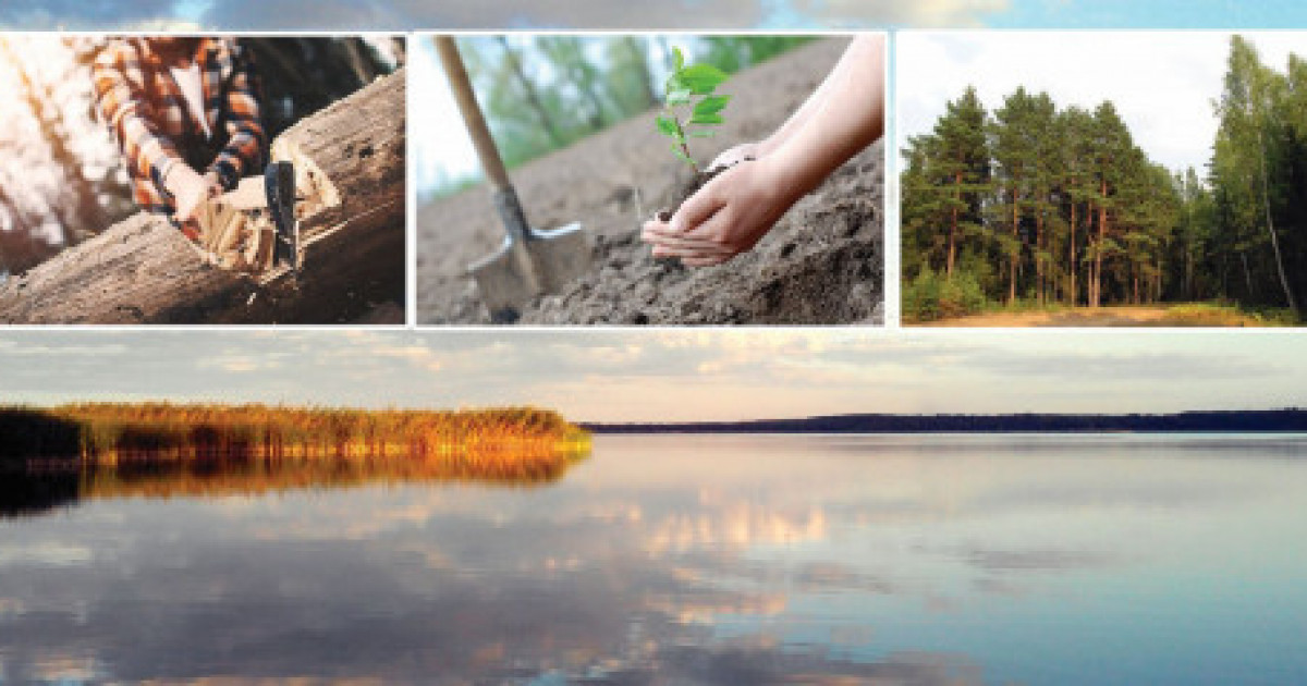 Эрик Пикаа секс видео