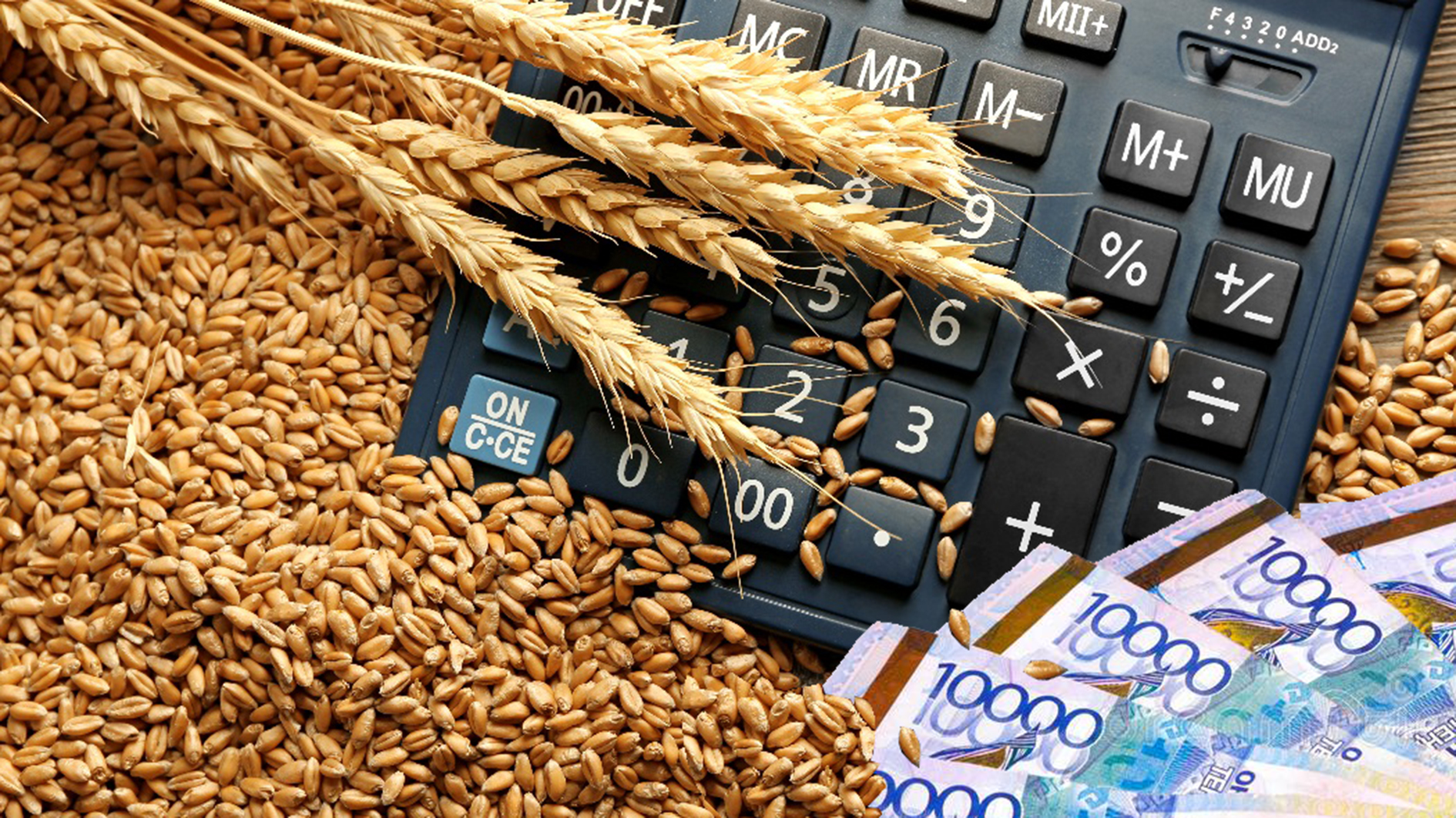 Субсидия: Біреуге бар, біреуге зар