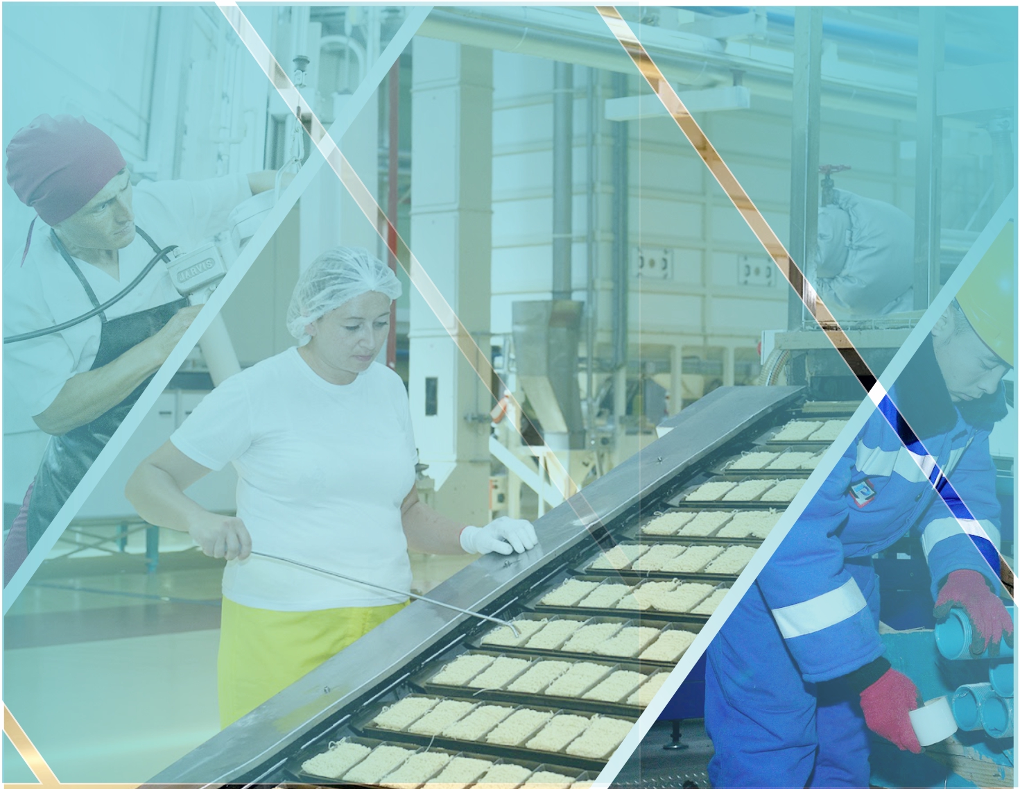 Шоғырланған тұтынушы шағын өндіріске сеп