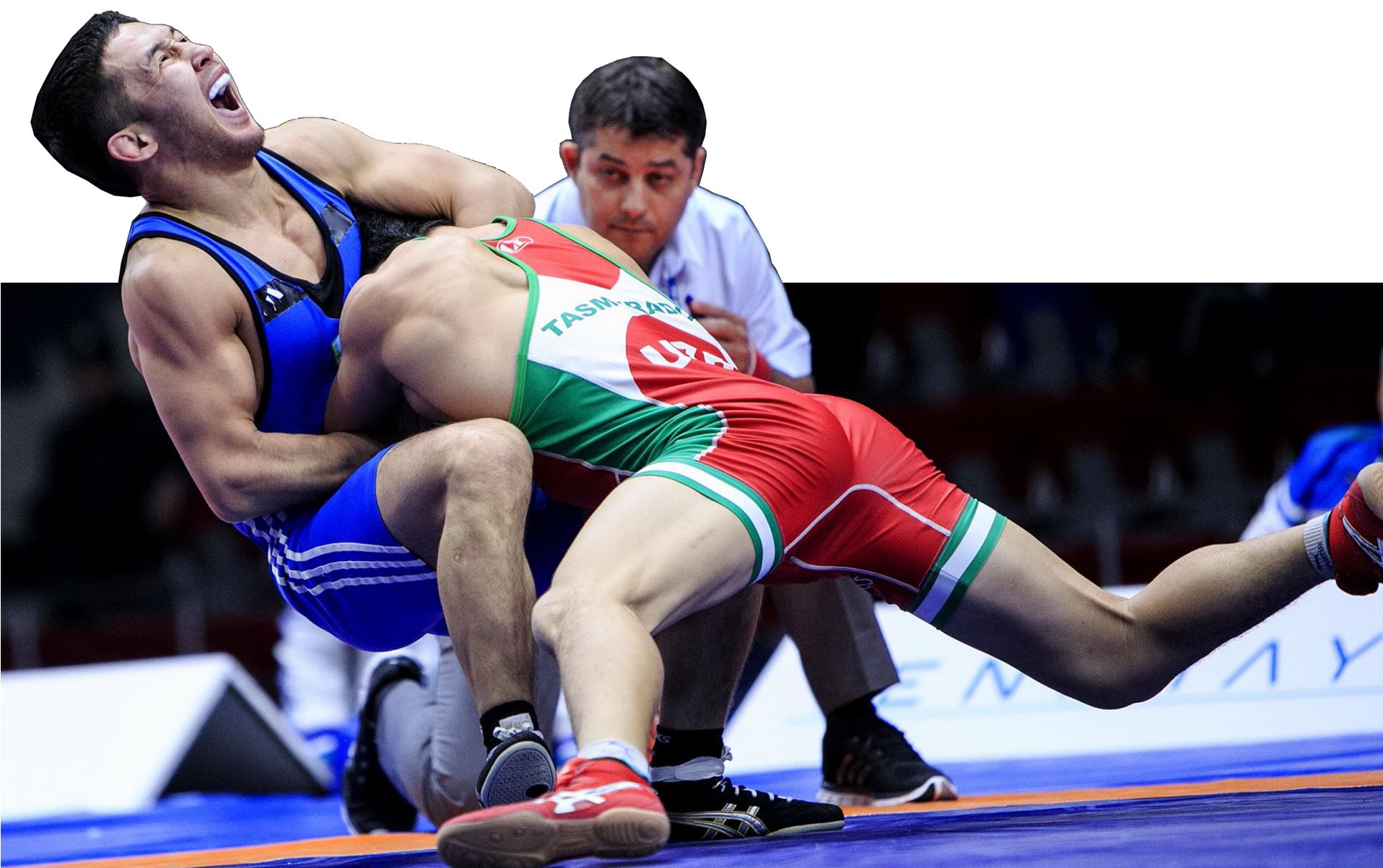 Алматтың аламаны