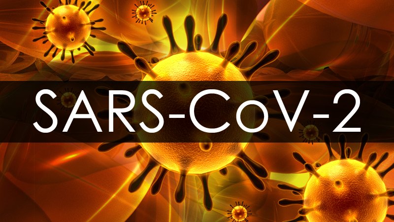 SARS-COV-2: Коронавирустың жаңа штамы анықталды