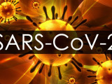 SARS-COV-2: Коронавирустың жаңа штамы анықталды