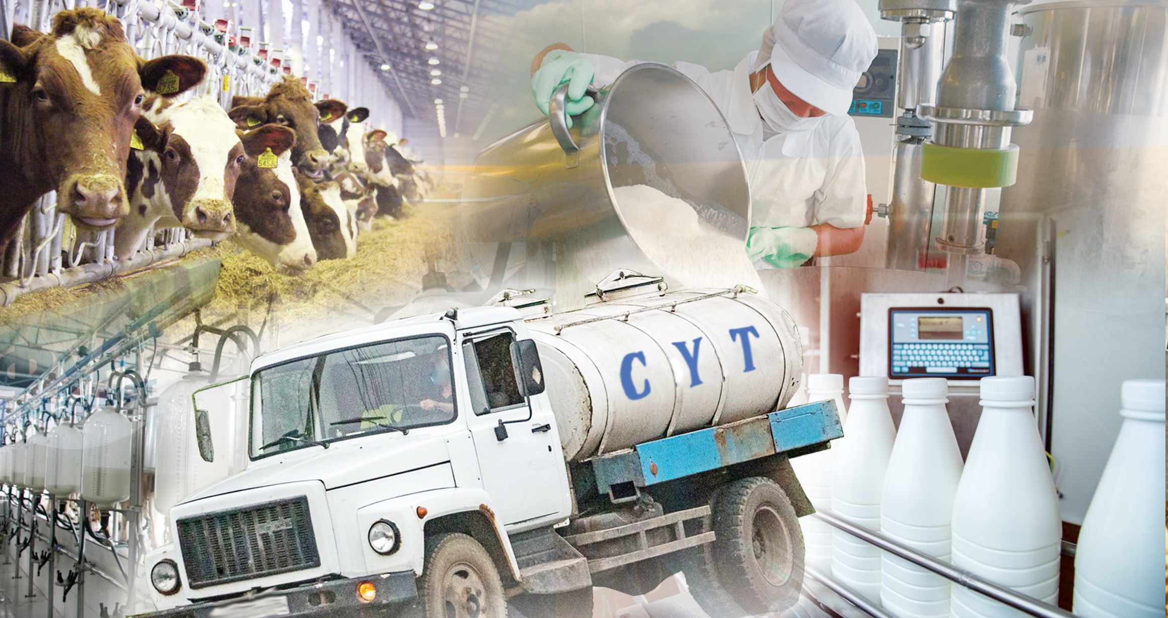 Ауладағы сүт сөреге жете ме?