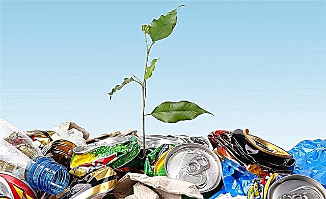 Қалдықтар арқылы қалыпты өмірге оралуда