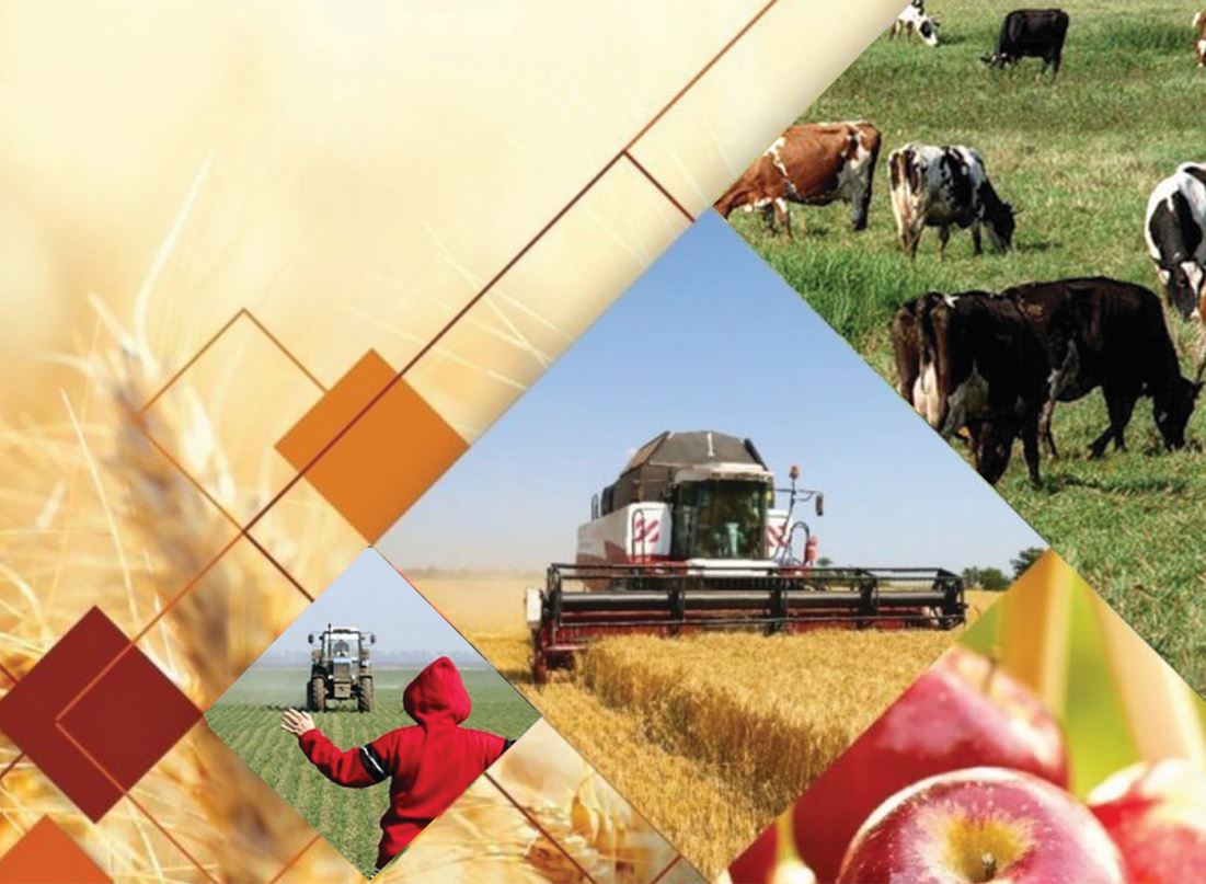 Көлқайнардағы көпшіліктің көңілі алаң