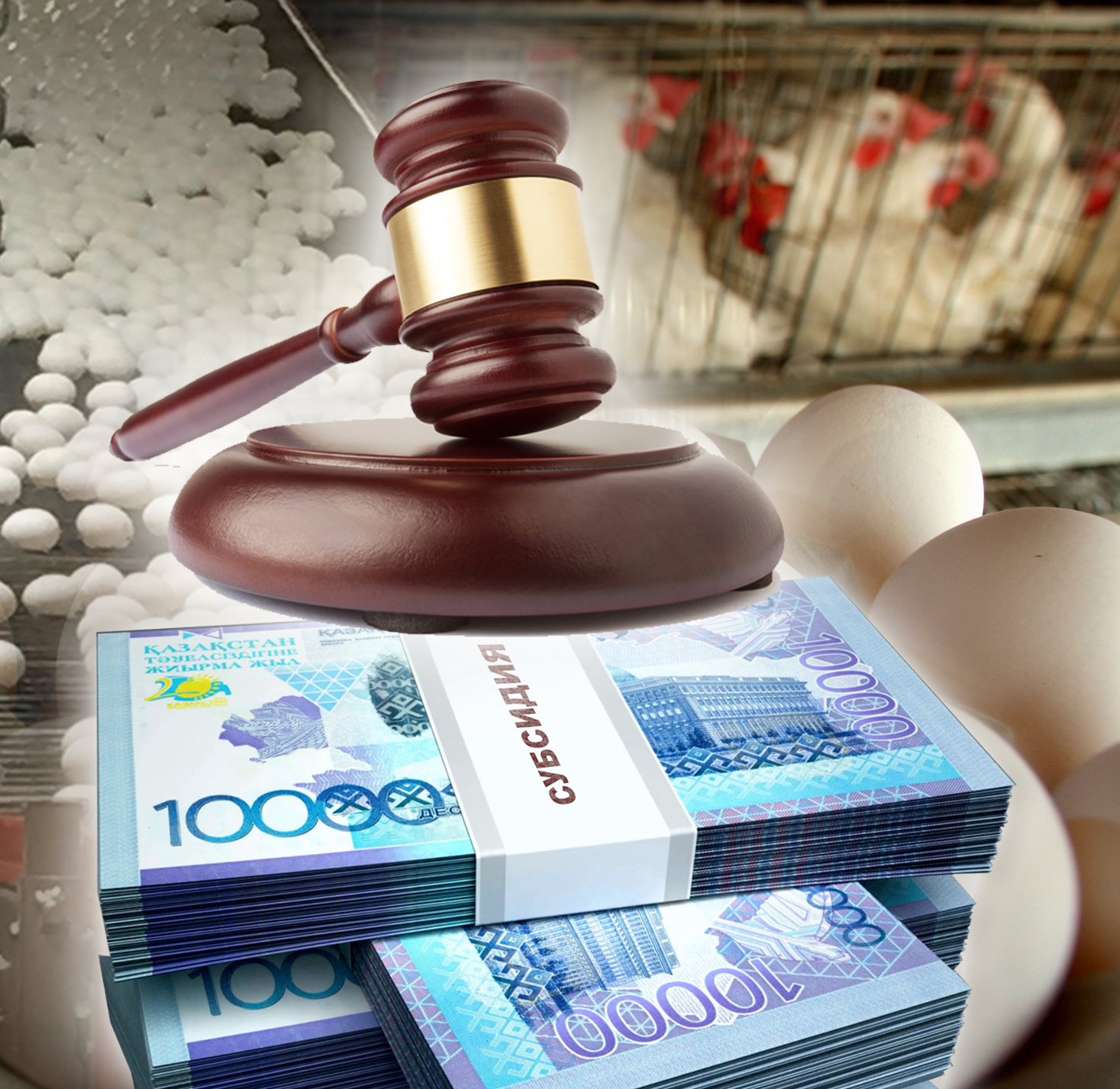 Сотқа бермесе, субсидия төлемей ме?