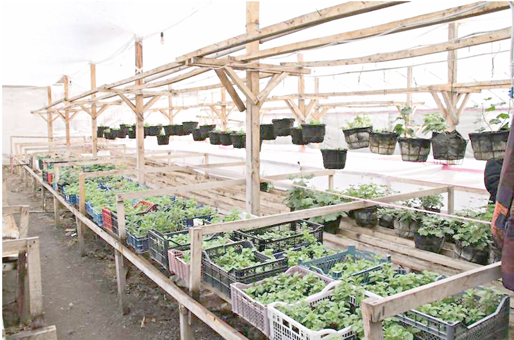 Еңбегі жанған ерекше жандар