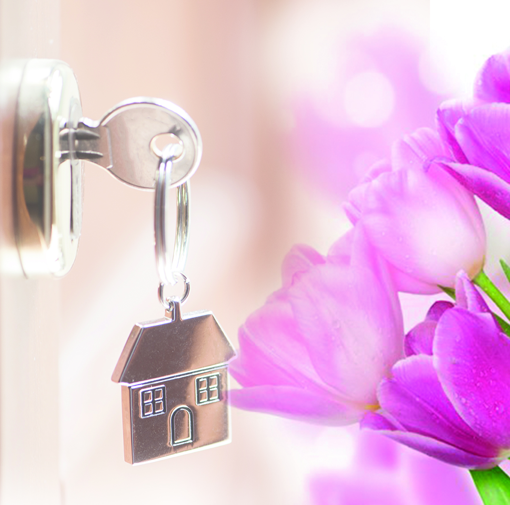 «Шаршы метрдің» шаттығы