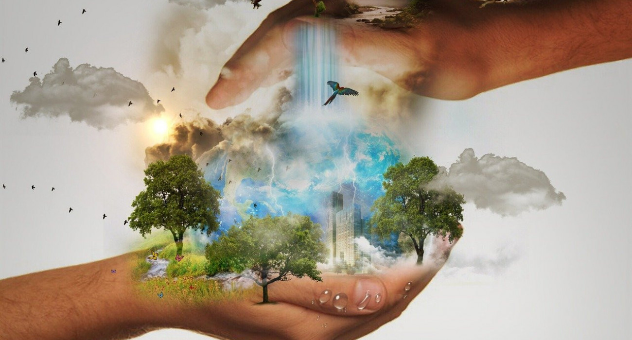 Порно видео