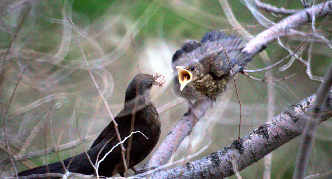 Жалаңаш әйелдердің жеке фотосуреттері