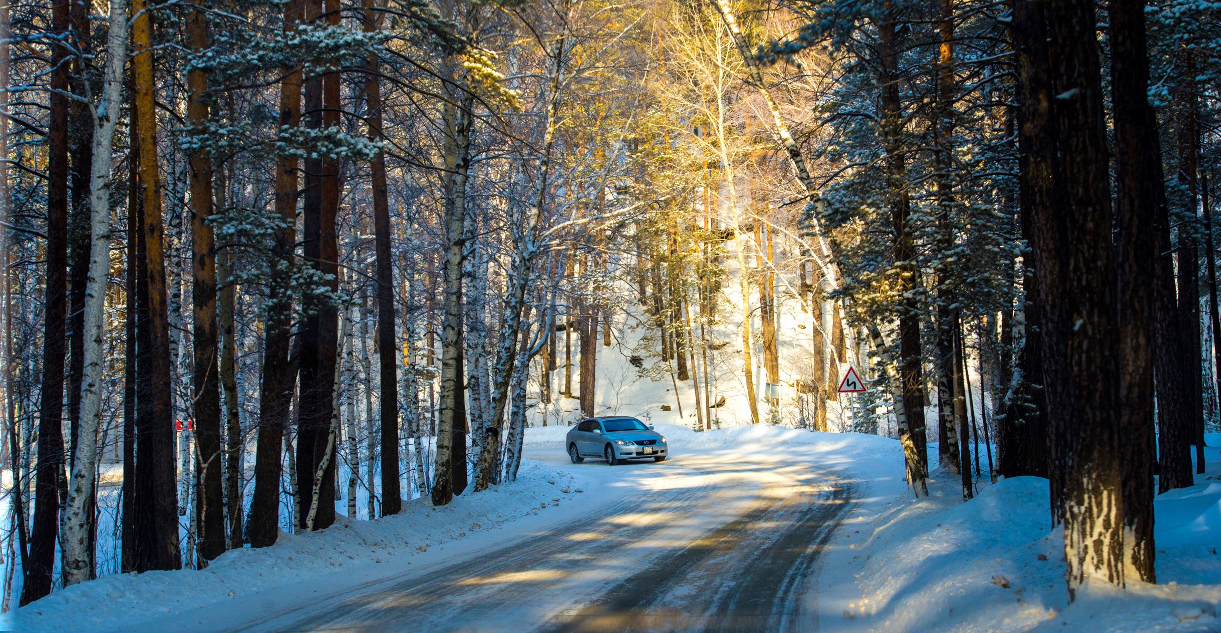 Орманымыз ойсырамасын десек...