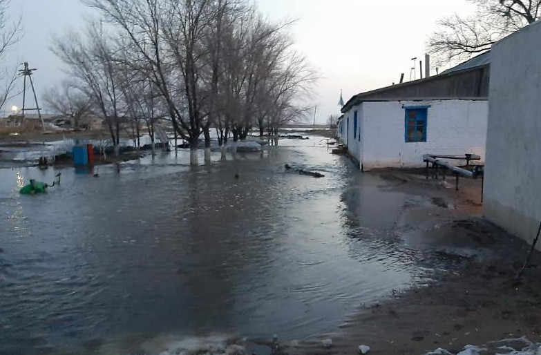 БҚО-ның Шалғын ауылында 25 үй су астында қалды