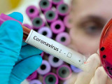 Үндістанда ер адамнан ХЕ коронавирусының жаңа штамы анықталды
