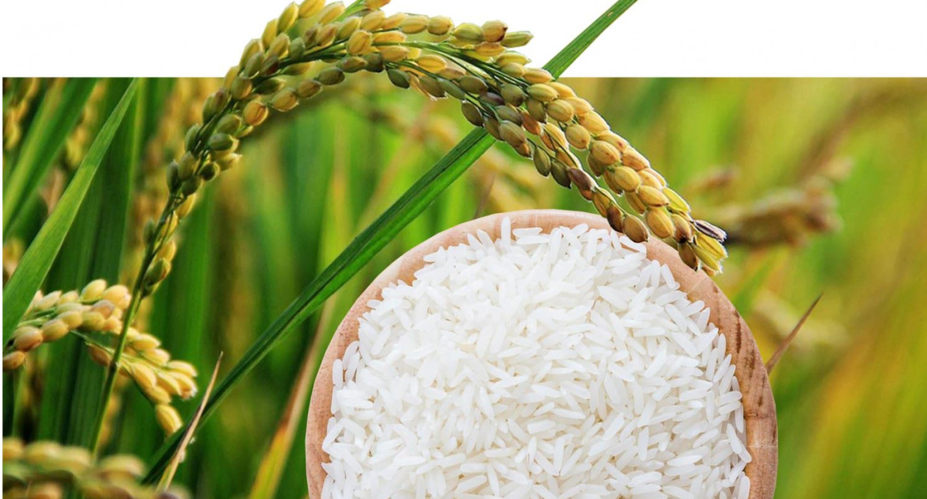 Смотреть әуесқой орыс мас порно онлайн