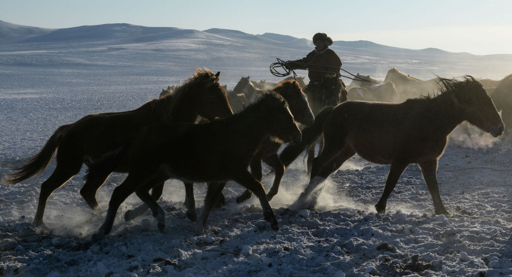 Ұқыпсыздың малы ұрыға жем