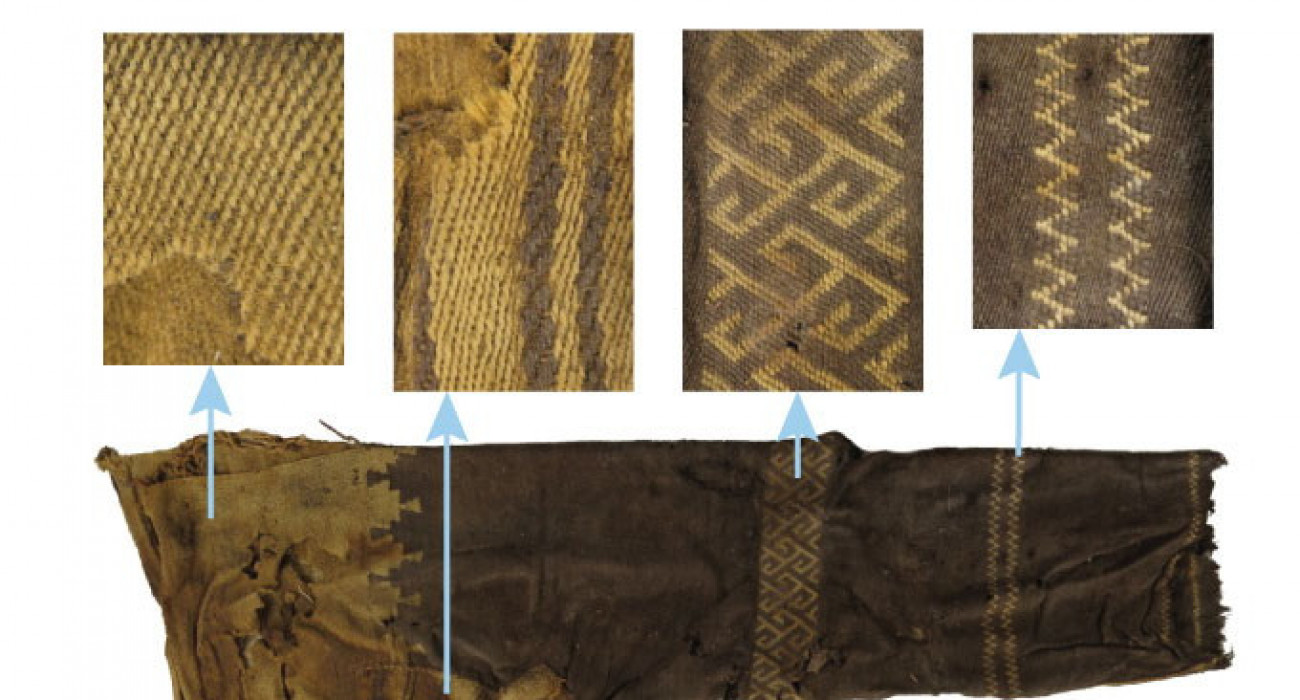 Американдық жыныстық тәрбие туралы фильм Ханым сізге оның кискасын жалауға мүмкіндік береді